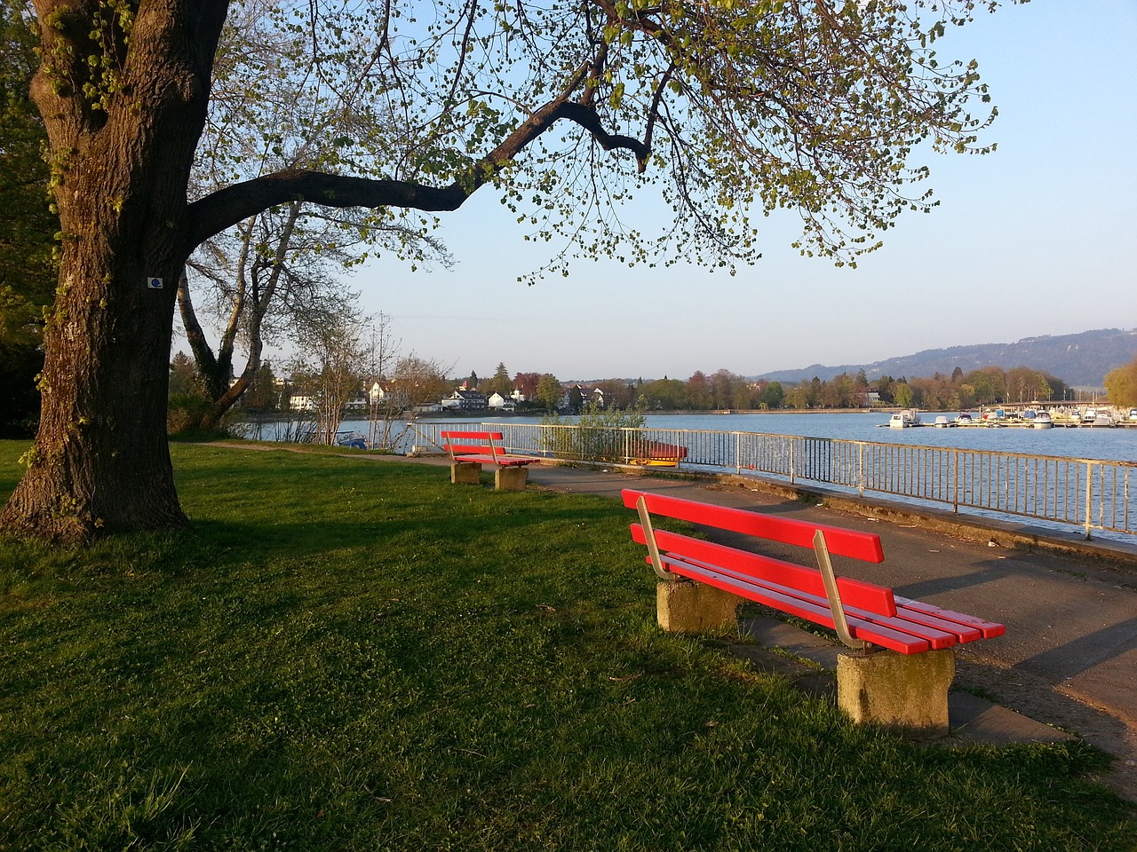 国的合作引 国的合作引